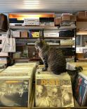 Pick of the Pops - Music Shop